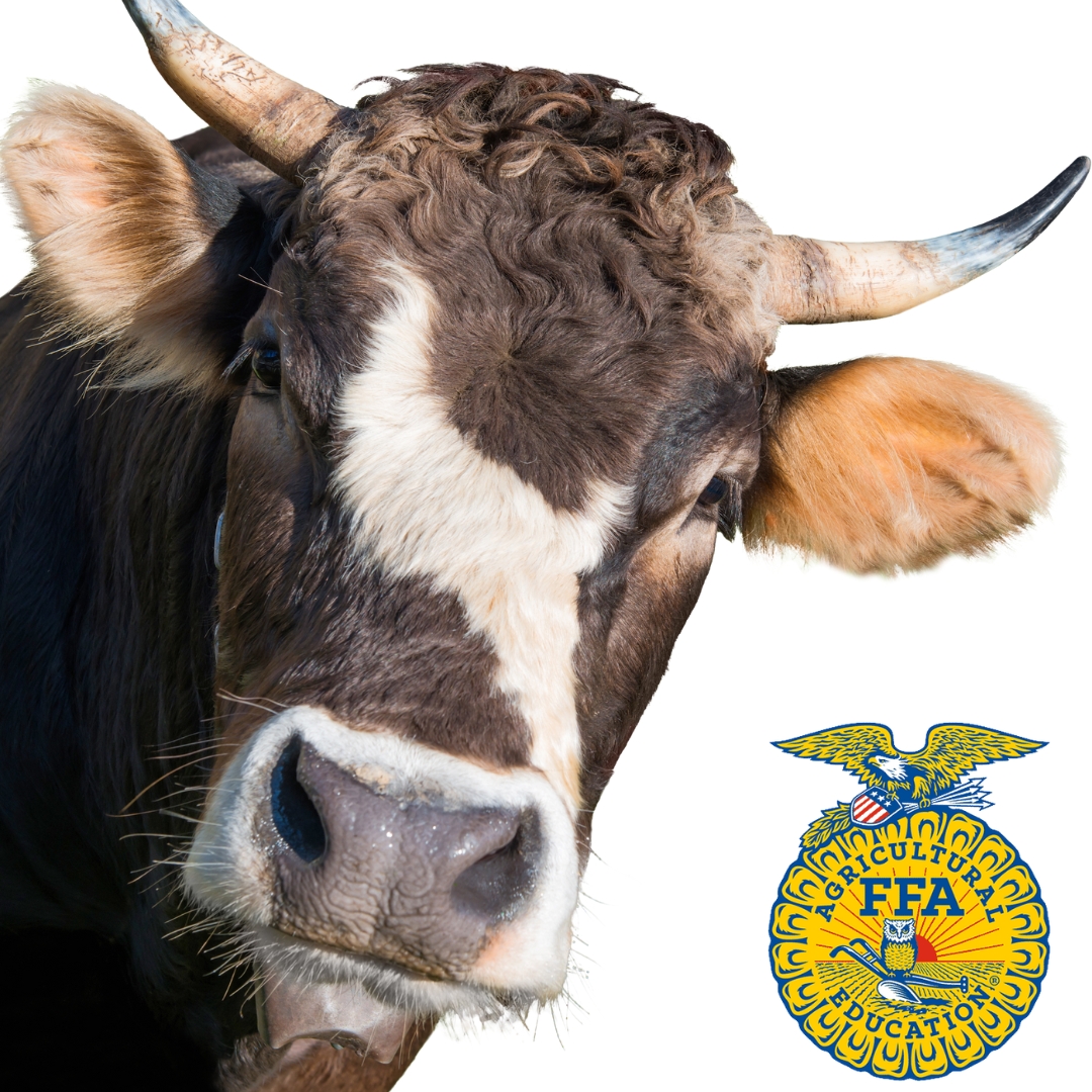 Fueling the Future: How FFA Chapters Are Using Pastry Fundraisers to Grow More Than Crops
